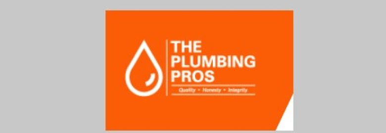 THE PLUMBING PROS LLC